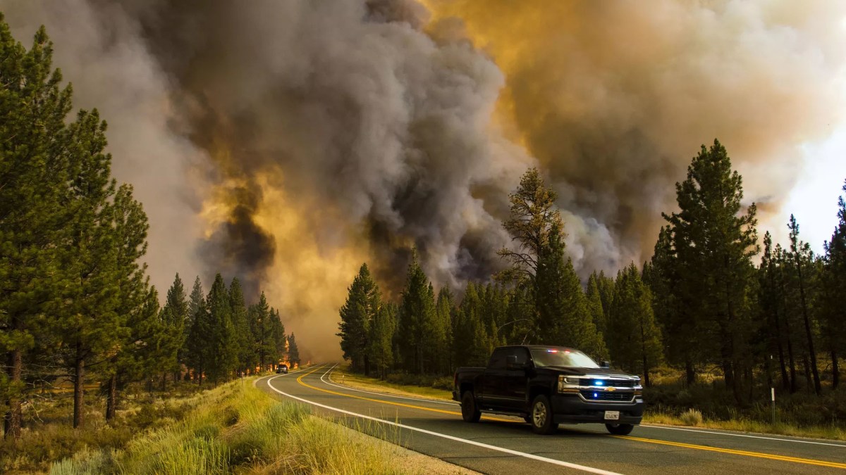 Wildfire wildfires california consequences scientists concerned forests increased numbers anthropogenic williams burned